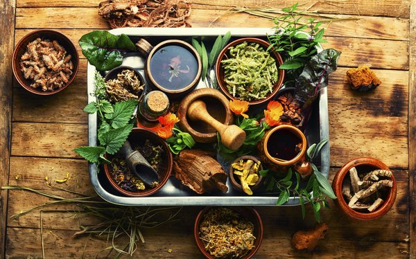 L’exploitation du chanvre de la fleur aux produits finis