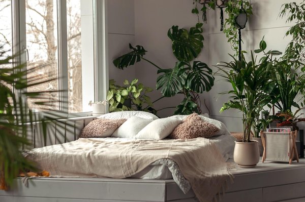 Les plantes d'intérieur indispensables : guide pour un intérieur vert et sain