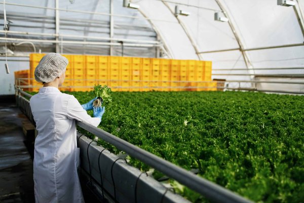 Quelles Innovations Technologiques Intègre Nature et Résidence Habitat ?