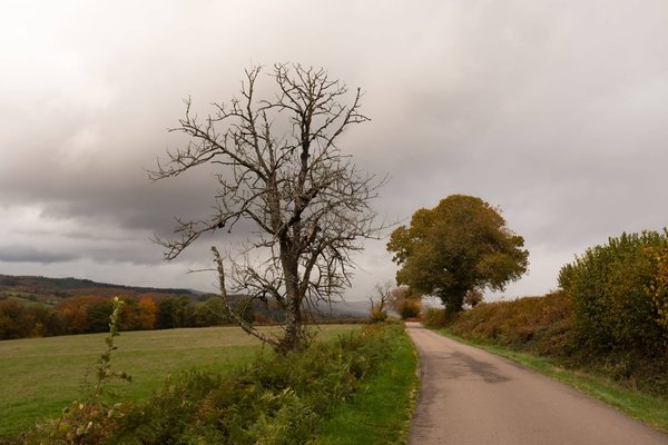 Quelle est la signification des paysages urbains dans les œuvres de Pissarro ?