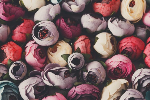 Fleurs en location : la solution éphémère pour vos événements